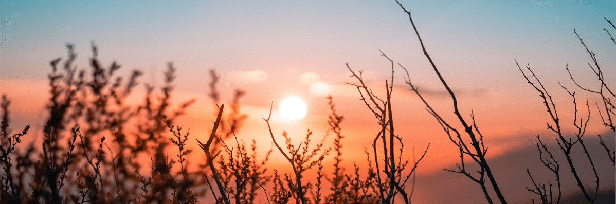 ‘New Day’ and ‘New&nbsp;Moon’