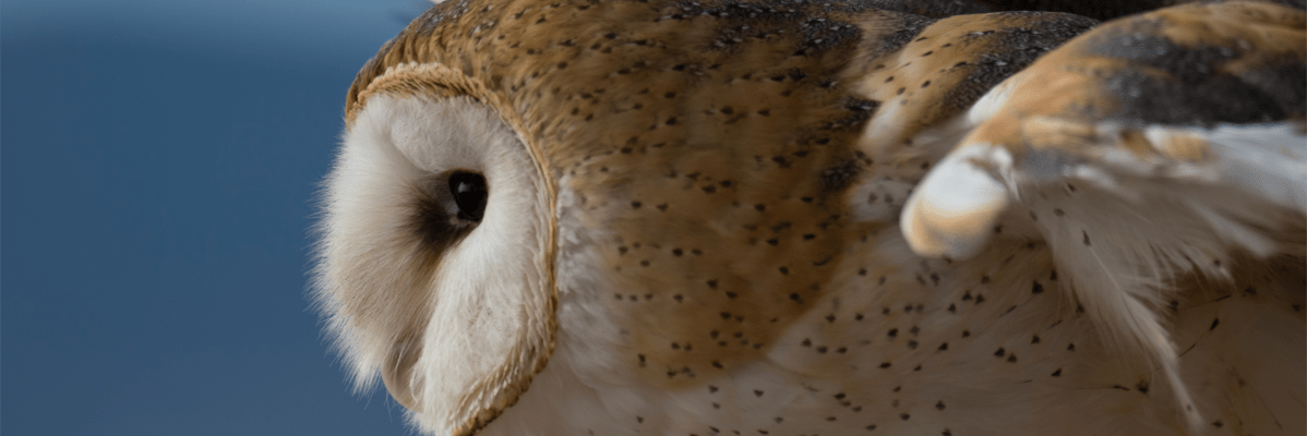 I know there is some&nbsp;goodness