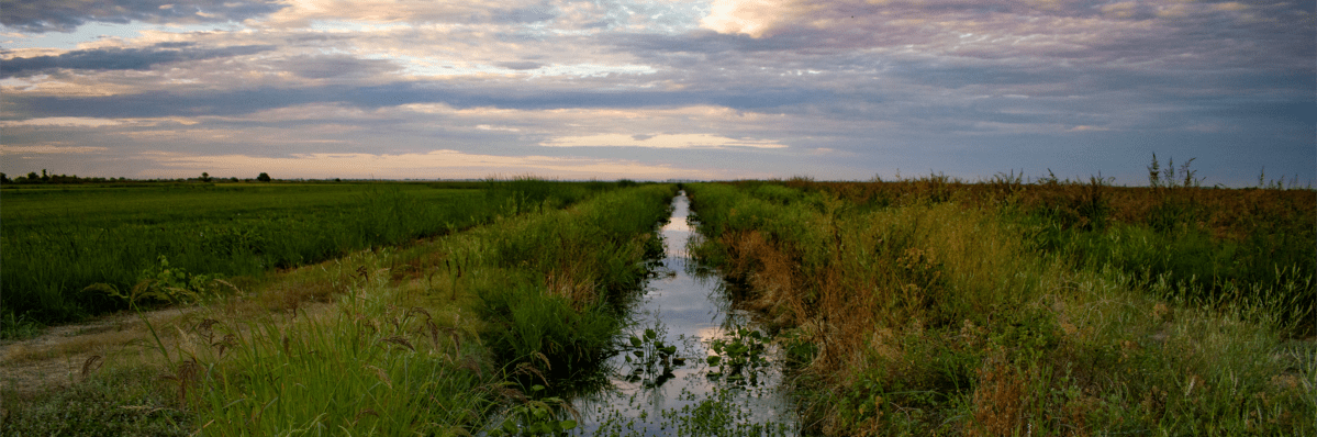 Nosy Norma’s House