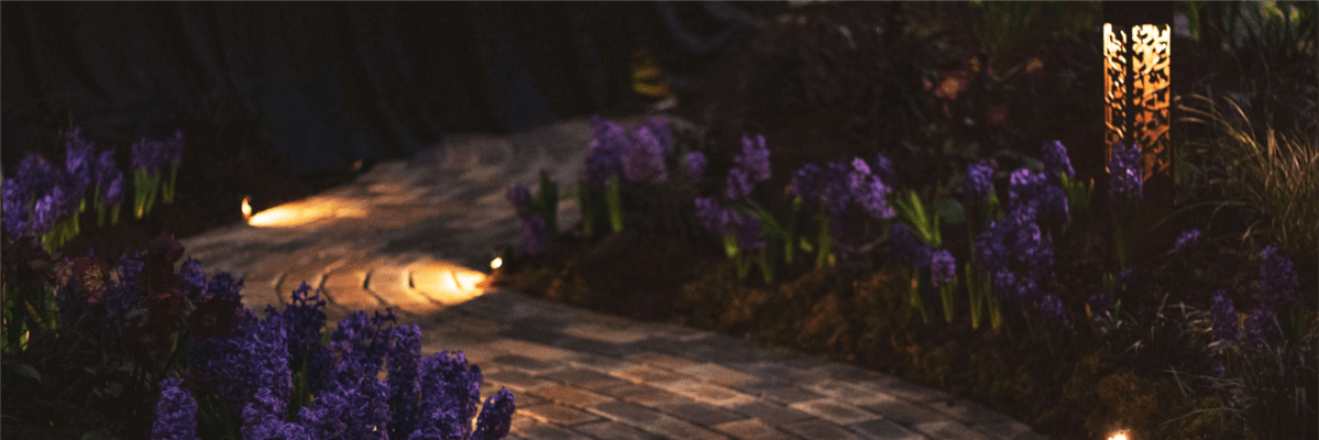 Thoughts For an Aries&nbsp;Sun