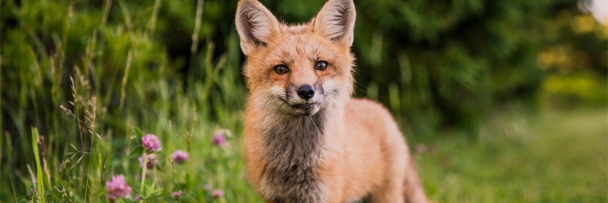 Our current theme:&nbsp;WILD