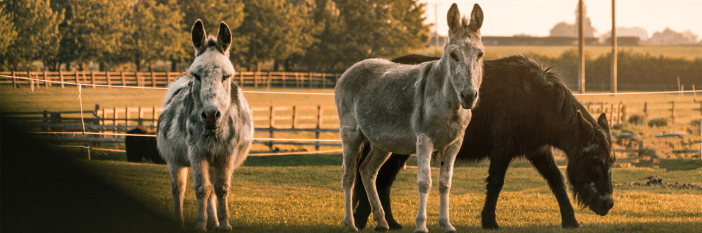 The house where you were supposed to be happy