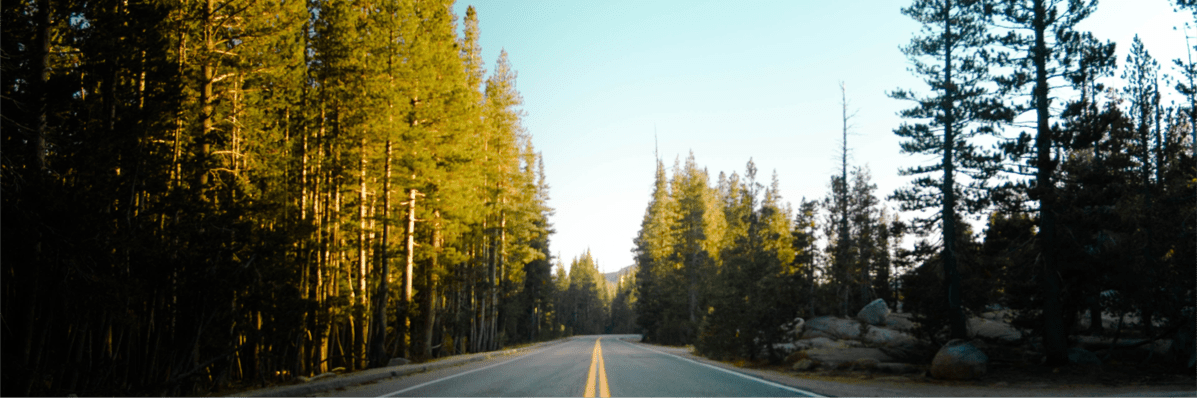 Driving Home