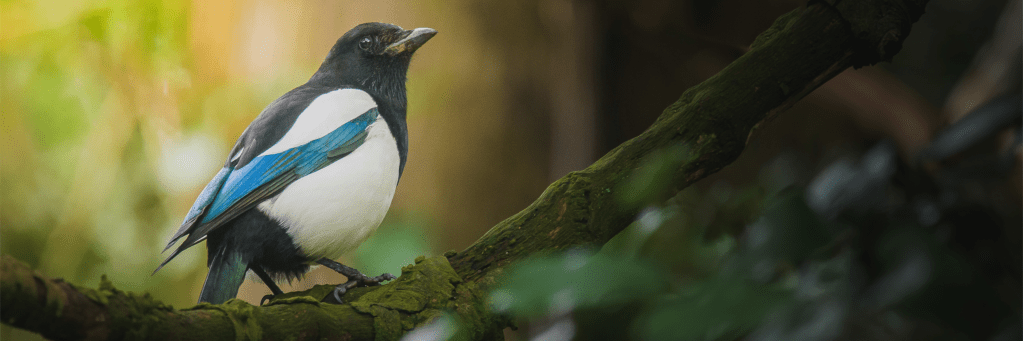 ‘Seeking Disaster on a Thursday Afternoon’ and ‘Eden’
