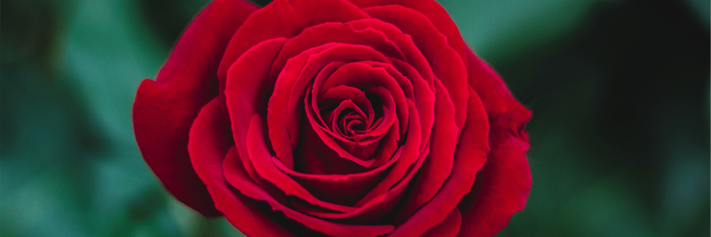 Portrait of Giovanni Arnolfini and his&nbsp;Wife