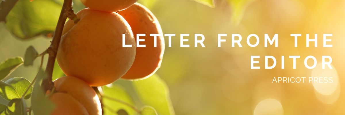 Arts Emergency: ‘Sometimes if you want something to exist you have to make it&nbsp;yourself’