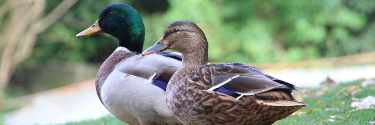 ‘Love Poem Attempt #5’ and ‘Smoke &&nbsp;Stars’