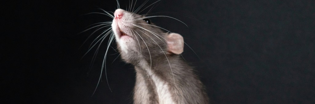 ‘Gregor Returns’ and ‘Grocery Store,&nbsp;11:03pm’