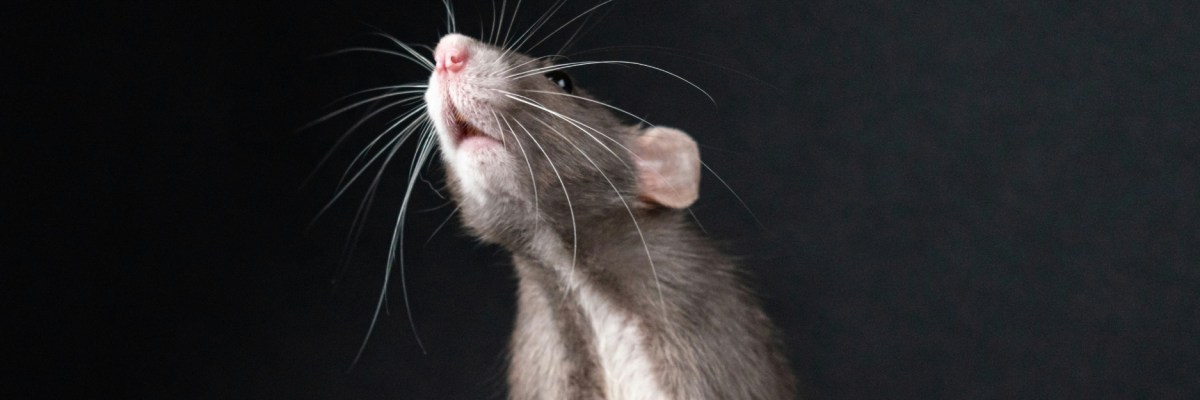 ‘Gregor Returns’ and ‘Grocery Store,&nbsp;11:03pm’