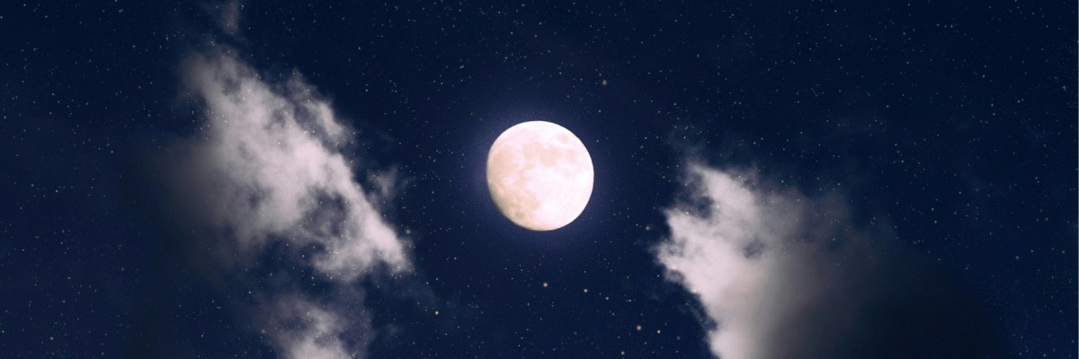 ‘Bedroom Disco’ and ‘A Woman Made Mannequin’