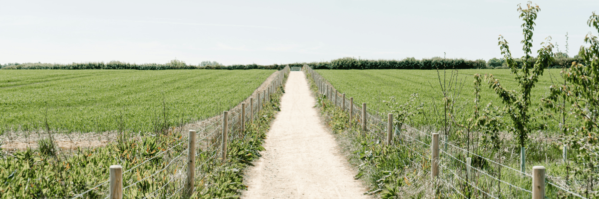 ‘Pilgrimage’ and ‘Bed’