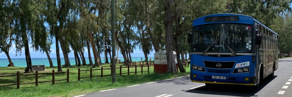 ‘Murder on Bus 39’ and ‘Brave’