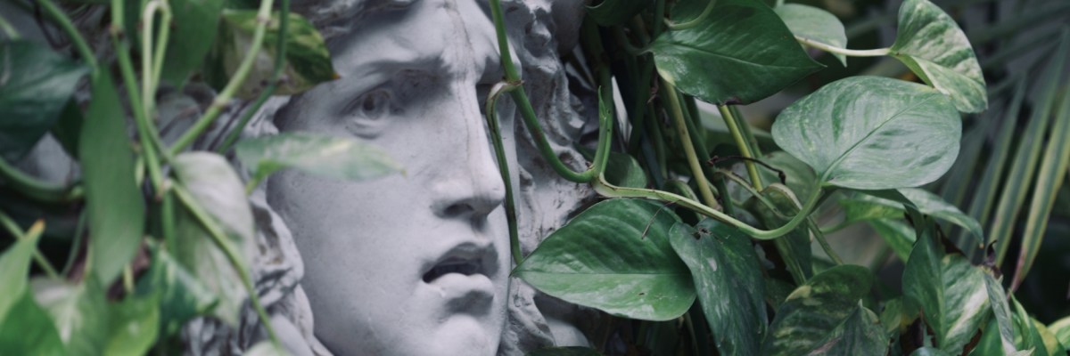 ‘Daphne’ and ‘Girl, Gorgon,&nbsp;Goddess’