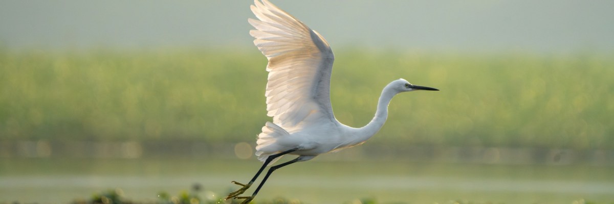 Our current theme:&nbsp;HOPE