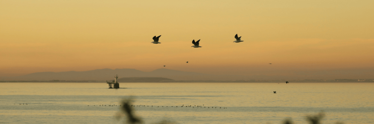 Light above the&nbsp;Bay