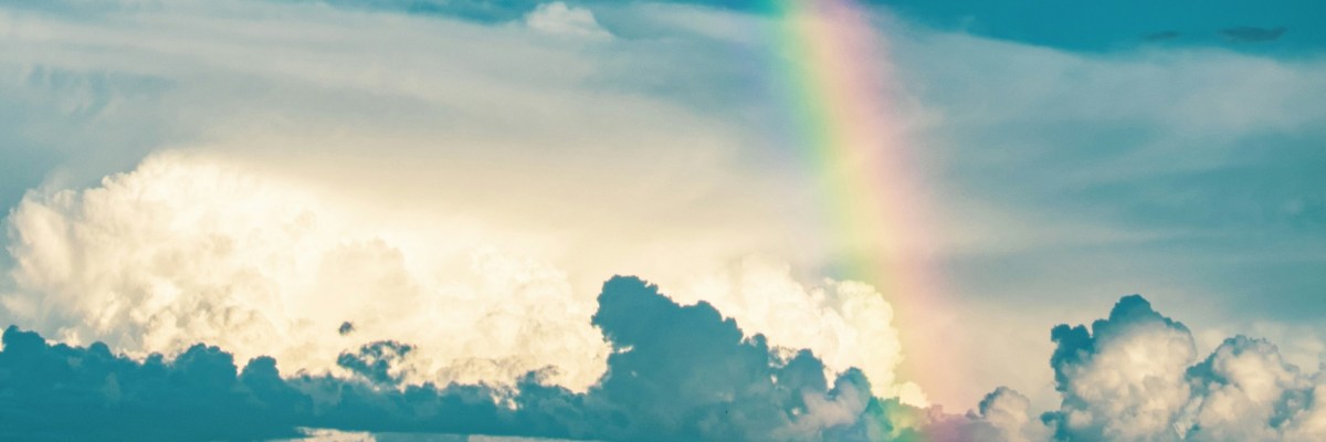 ‘Zeus walked his dogs across the sky today’ and ‘Hope, feathered’